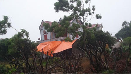 Nghi án vợ cùng nhân tình lên kế hoạch giết chồng rồi treo cổ tự tử